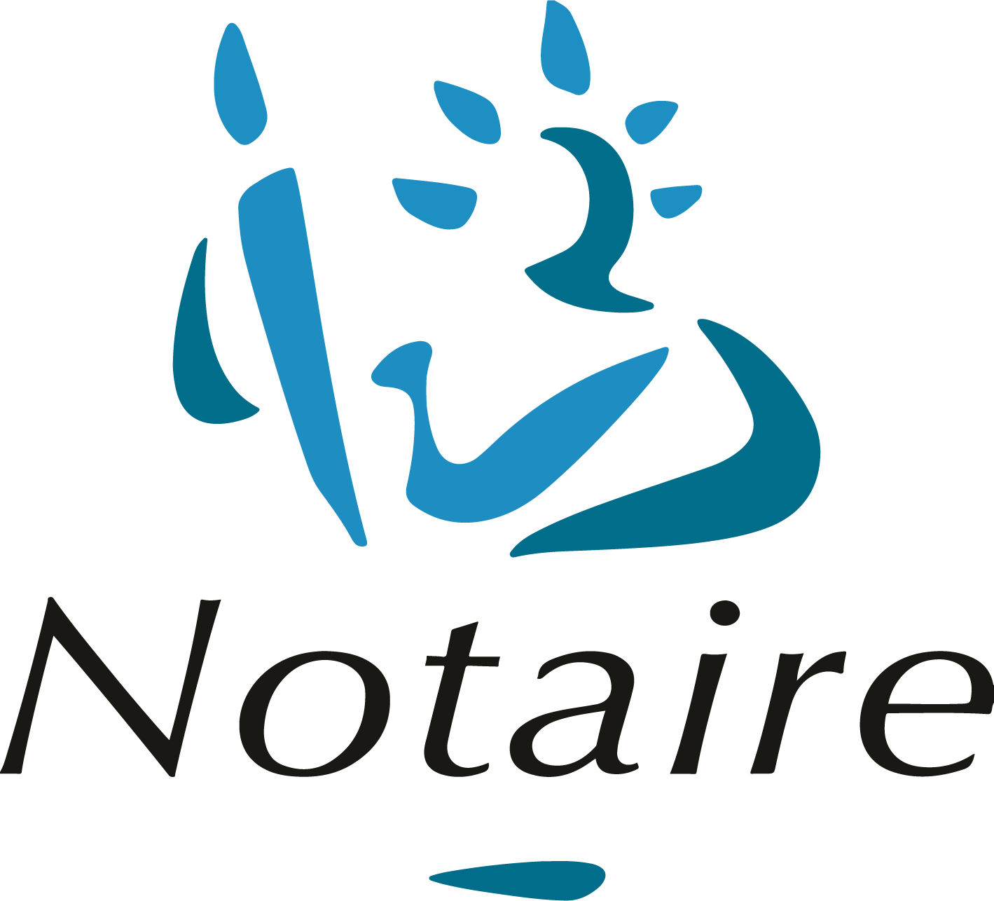 Logo Notaire - Maitre Raimbault - Aiffres